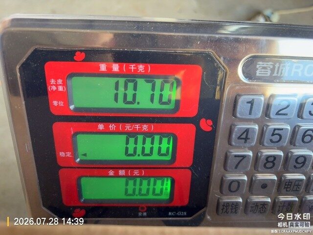 Master carton 1 weight