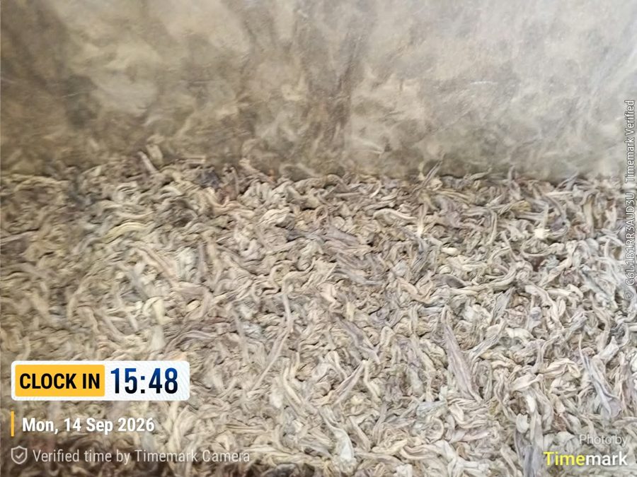 Withered dried tea leaf