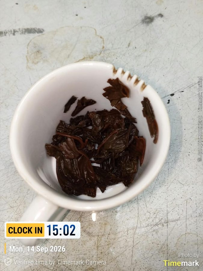 Tea leaf sample in cup